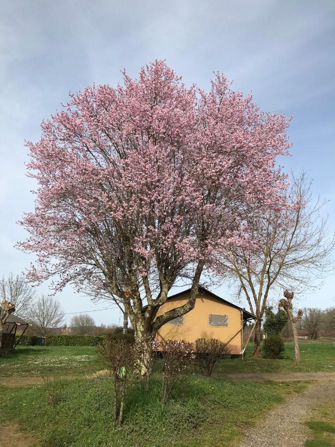 Le Mondou Saint-Julien-de-Lampon Exteriér fotografie